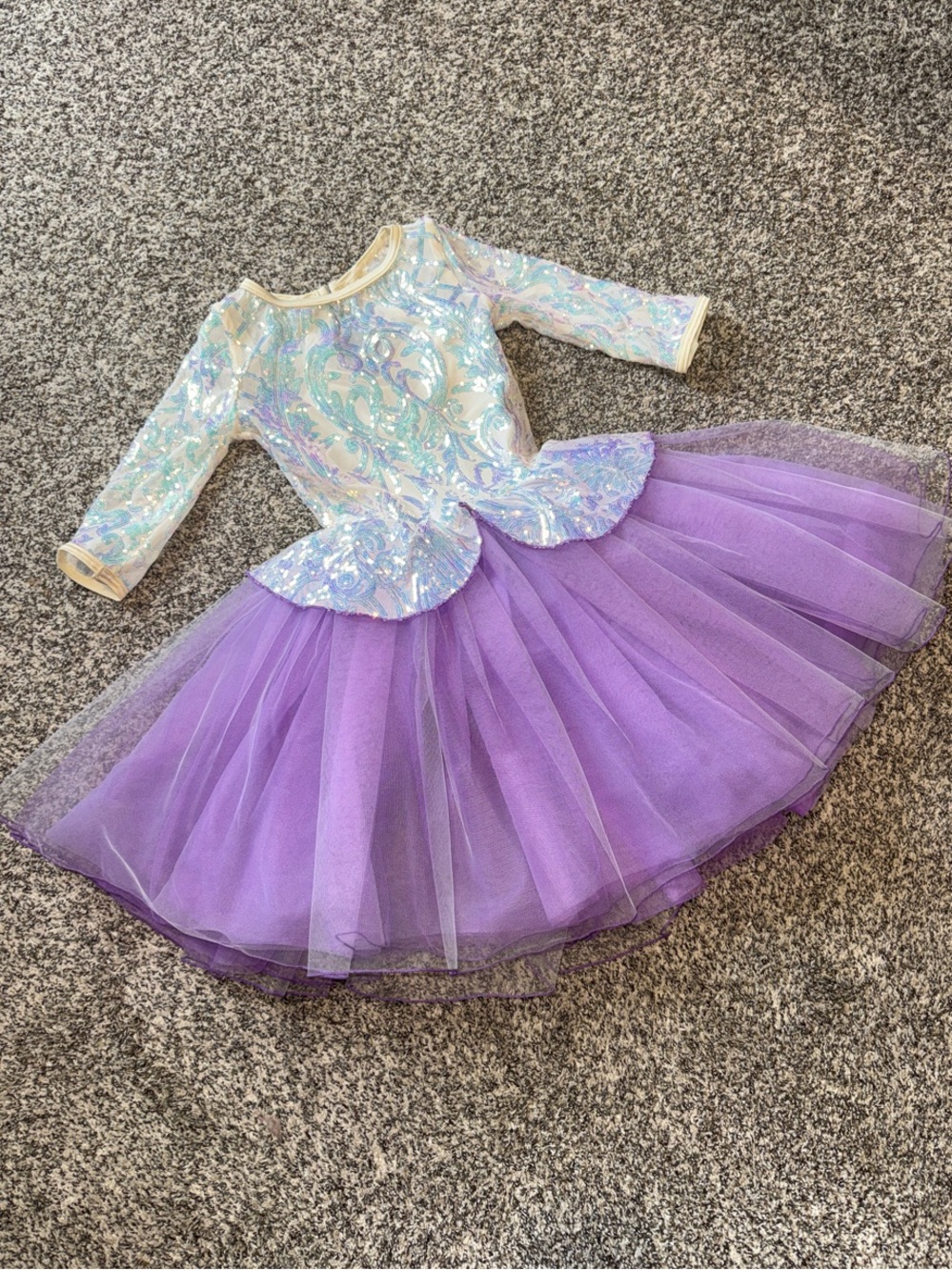 Purple and Iridescent Princess Tutu Costume